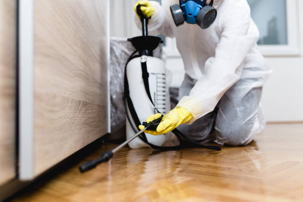 Best Mosquito Control Services  in Tiffin, OH