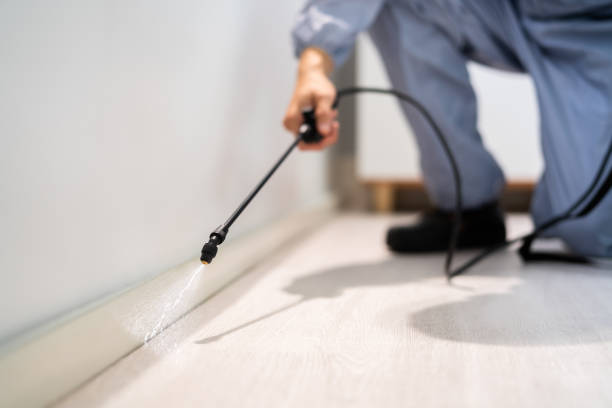 Professional Pest Control in Tiffin, OH