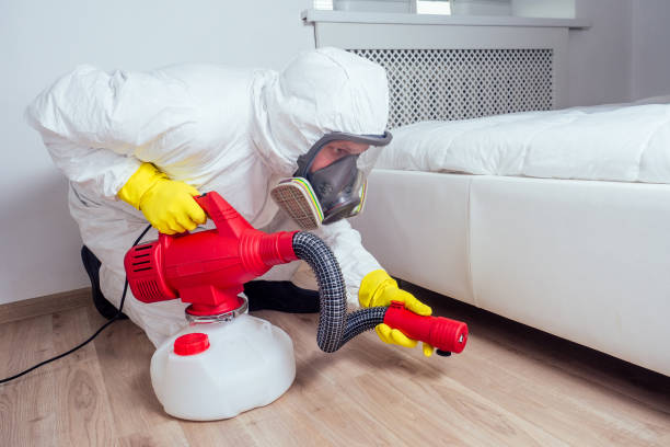 Flea Control Services in Tiffin, OH