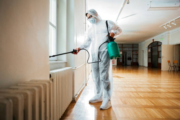 Best Termite Control Services  in Tiffin, OH