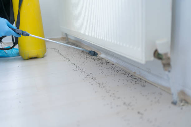 Best Local Pest Control Services  in Tiffin, OH