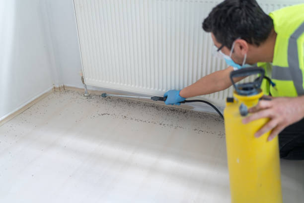 Best Residential Pest Control  in Tiffin, OH